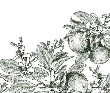 Entwined branches